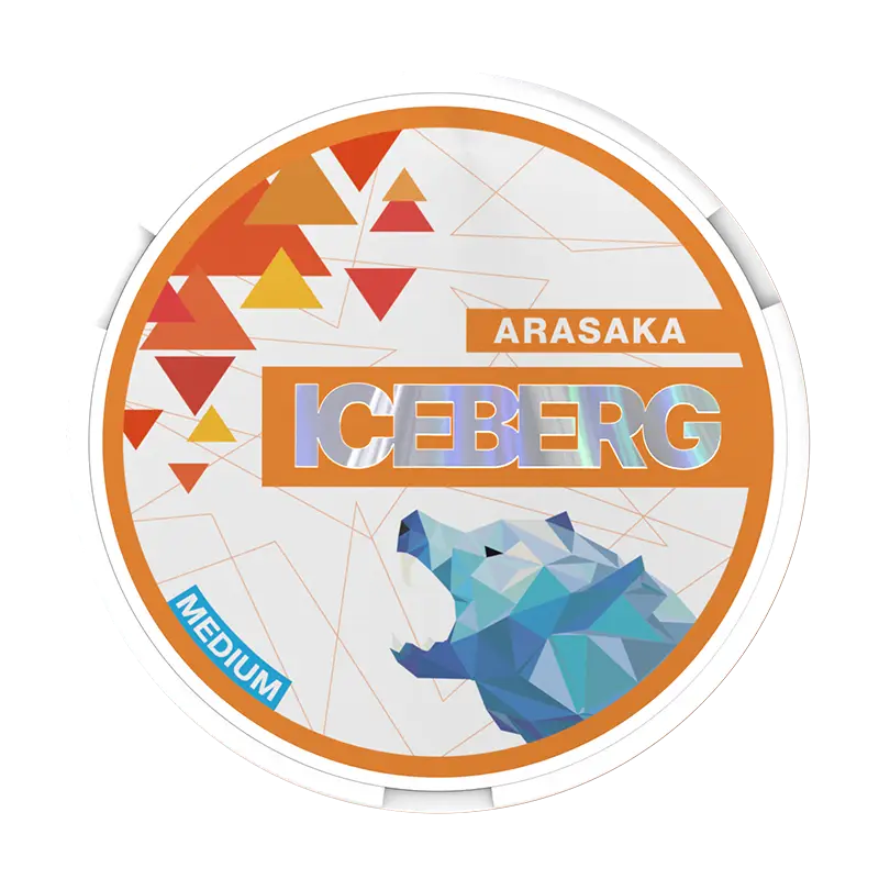 ICEBERG Arasaka